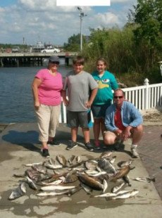 Variety of Fish!