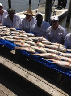 WE ARE KILLING THE REDFISH