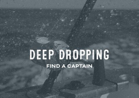 Deep Dropping