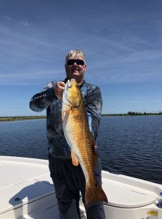 Schooling Redfish