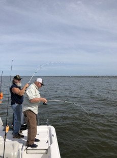 Bullred action