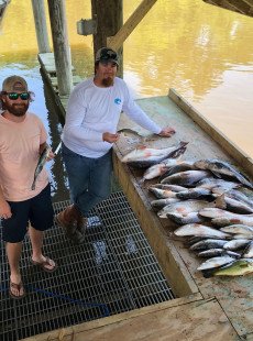 Nonstop Reds in Shell Beach