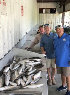 The Fish are on. Stay tunned