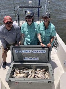 Fantastic trout bite