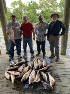 Great Redfish Bite !