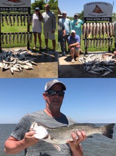 May is trout month