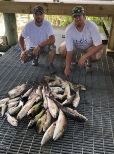 Wednesday Shell Beach meat haul