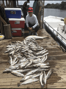NO LIVE BAIT NEEDED!!