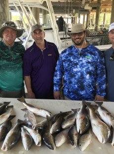 Hopedale report