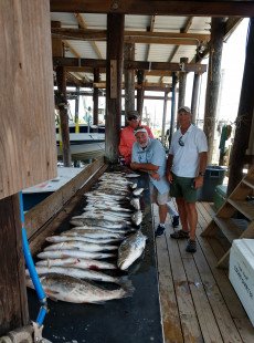 Shell Beach fishing With "Capt. Hook"