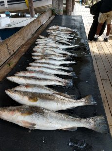 Shell Beach fishing with "Capt. Hook"