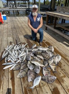 Sheepshead and speckled trout