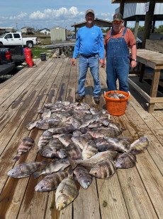 Fantastic Sheepshead Bite