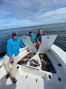 The Sheepshead Bite Continues