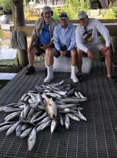 Trout Tuesday in Shell Beach