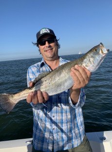 The specks were on