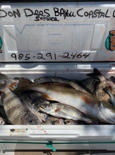 Fishing is open call to book a trip
