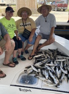 6-3-20 report