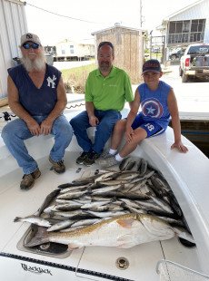 6-17-20 report