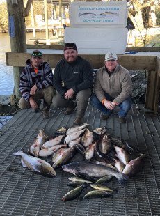 Big Reds in Shell Beach