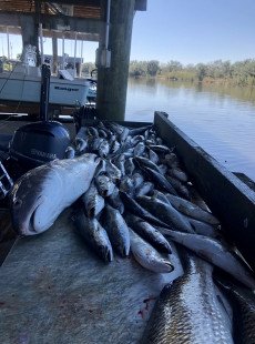 Dularge trout and bull reds on fire!