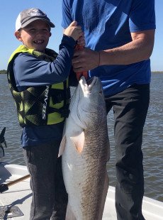 More bull red action down in dularge