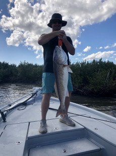 More bull red action in dularge