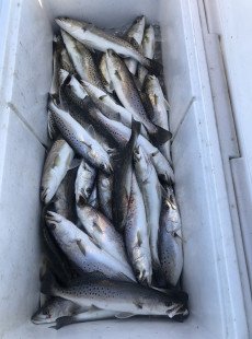 Another day, another limit!