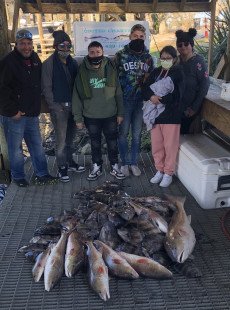 Monday Meat haul in Shell Beach