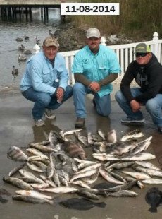 8:00 AM Limit of Trout~