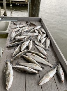 Lake Pontchartrain Speckled Trout with Victory Bay Charters