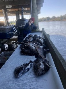 NO SCHOOL MONDAY=A FISH SCHOOLIN’