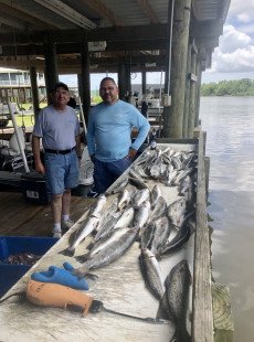 A little calm and a lot of catching