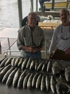 Bayou bandits
