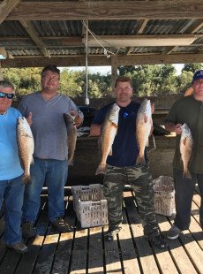 Beautiful weather no tide