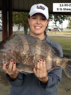 Big Fish for Today!