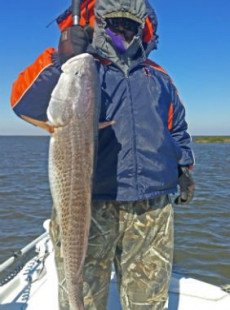 Big Fish on Da Line
