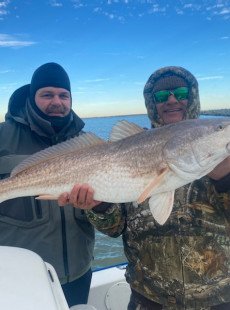 Bull Redfish