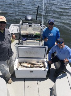 Dularge sPeckled trout