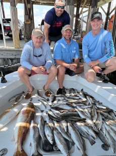 Specks are biting! 