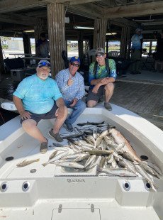 Trout bite CONTINUES! 