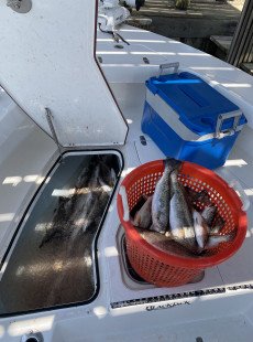 5-18-22 Fishing Report