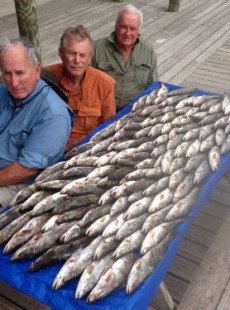BREAKING NEWS! LOUISIANA FISH KILL BY TENNESSEE BOYS!