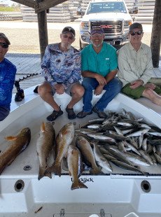 6-6-22 report