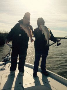 Cold Water Reds