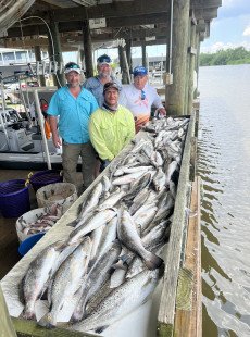 Rays of speckled trout sunshine for Rained out cane farmers