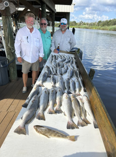 Great day trout fishing