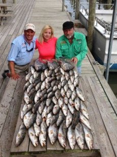 FISH IN FRENZY BEFORE COLD FRONT!