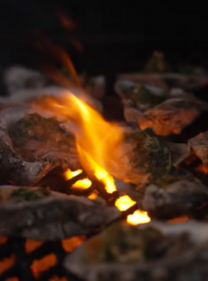 Chargrilled Oysters