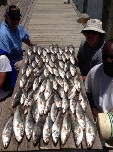 Fishing Report July 10, 2014